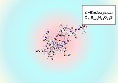 Alpha Endorphin