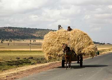 cart laden with straw