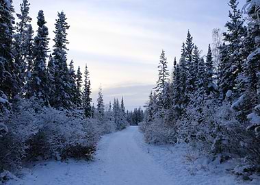 Yellowknife countryside 01
