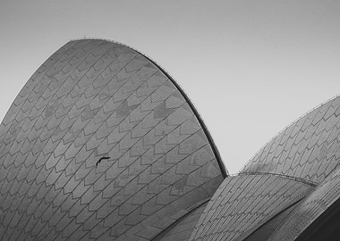 Sydney Opera House Sails
