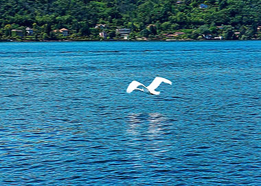 Lake Maggiore