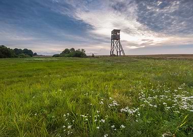 Plant Beautiful Season Par