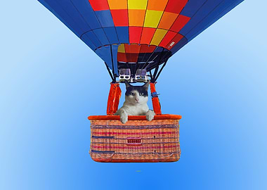 Hot Air Ballon cat