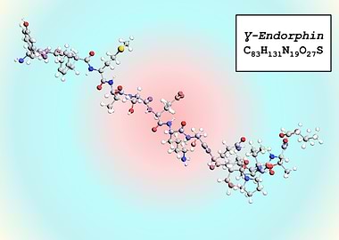 Gamma Endorphin