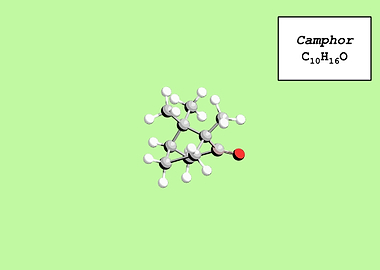 Camphor
