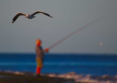 A fisherman behind a gull