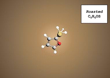 Coffee Aroma Roasted