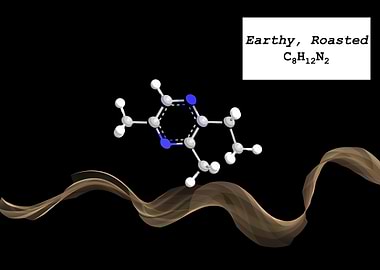 Coffee Aroma Earthy Roast