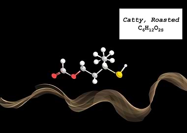 Coffee Aroma Roasted