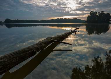 Lake Horizon Nature Reflec