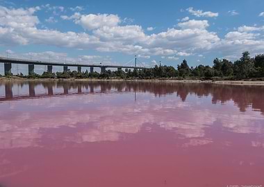 Pink Lake
