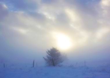 Image Picture Wallpaper