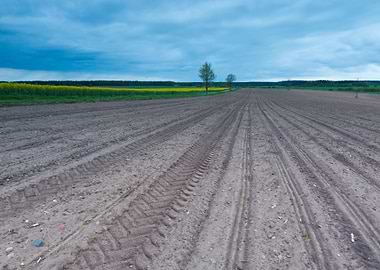 Land Field Ground Nature N