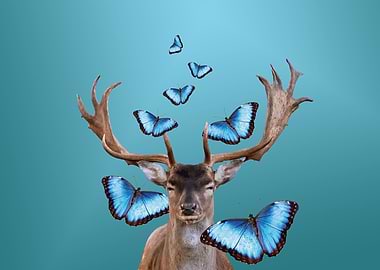 Reindeer Morph Butterflies