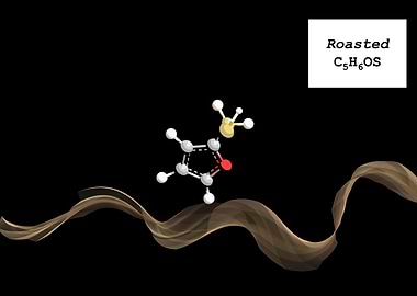 Coffee Aroma Roasted