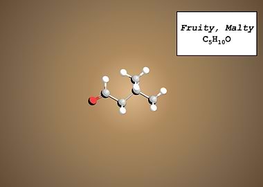 Coffee Aroma Fruity Malty