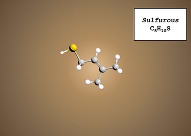 Coffee Aroma Sulfurous