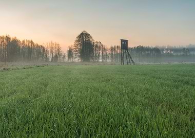 Pulpit Raised Scene Season