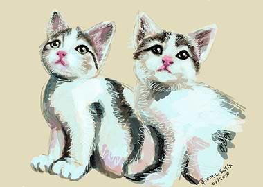Sweety Cats
