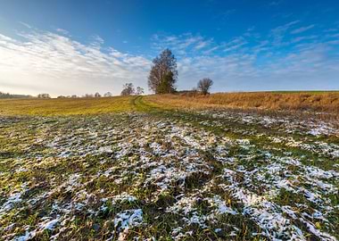 Winter Snow Farmland Field