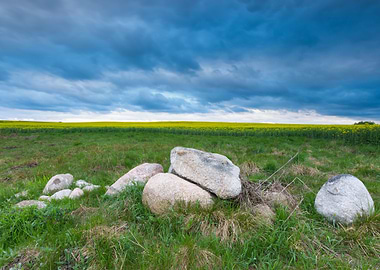 Grass Landscape Nature Sto