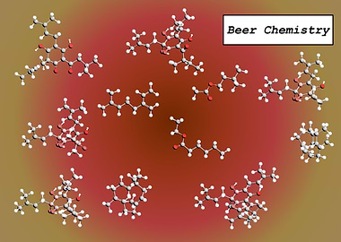 Beer Chemistry
