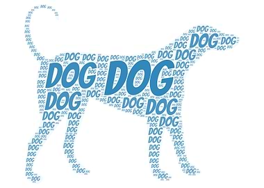 Dog Word Cloud
