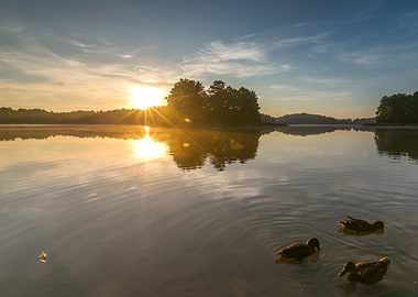 Shine Rural Silence Silhou