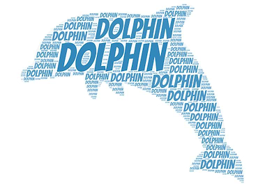 Dolphin Word Cloud