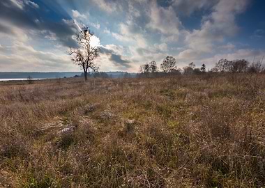 Winter Snow Farmland Field