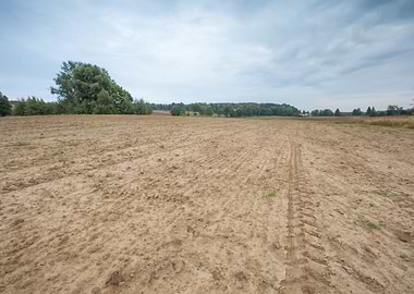 Horizon Field Sky Environm