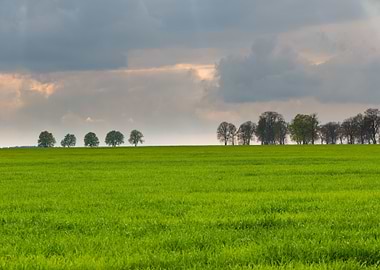 Agriculture Asia Autumn Ba