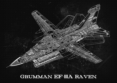 Grumman EF111A Raven