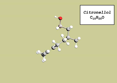 Citronellelol