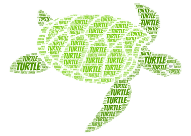 Turtle Word Cloud