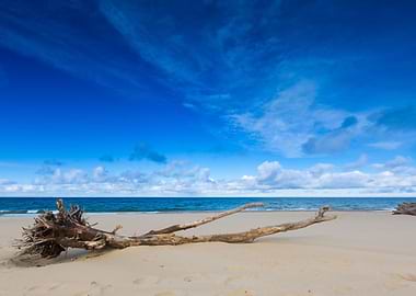 Baltic Beach Beautiful Bea