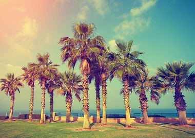 Agriculture Arid Back Back