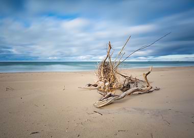 Shine Stick Shore Green Wi