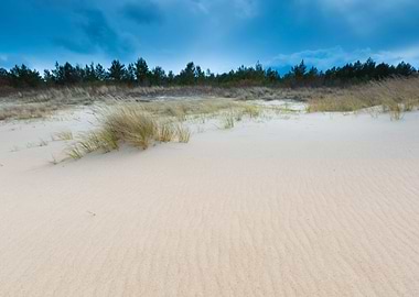 Coast Grass Sand Sea Beach