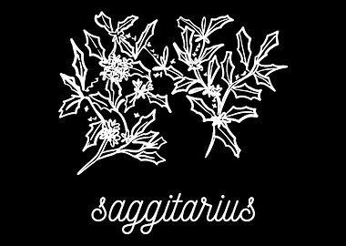 Flower Constellation Sagit