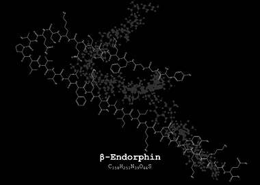 Beta Endorphin