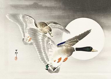Two ducks at full moon
