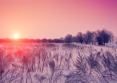 Background Bright Christma