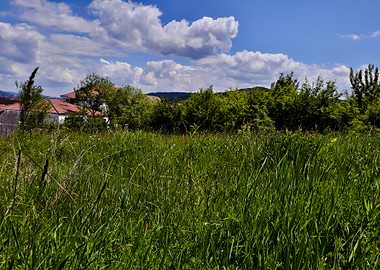 Grass level viewpoint