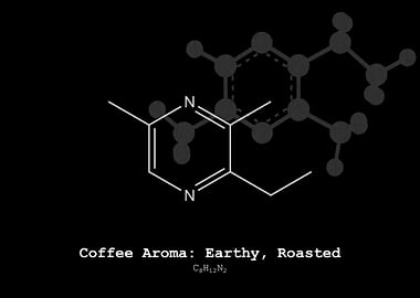 Coffee Earthy Roasted