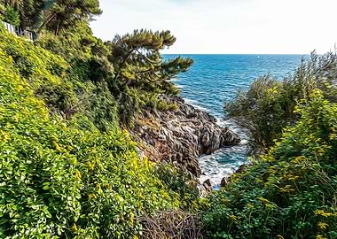 Seacoast of Cap Martin