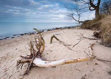 Shore Coast Landscape Sunr