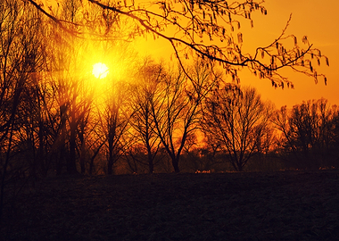 Autumn Background Beam Bea