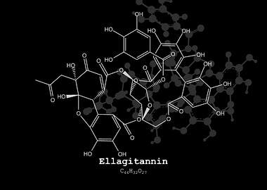 Ellagitannin