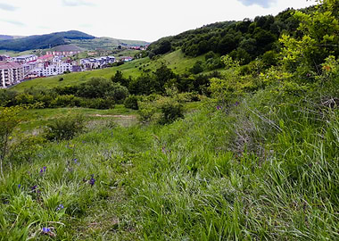 Escape from the city